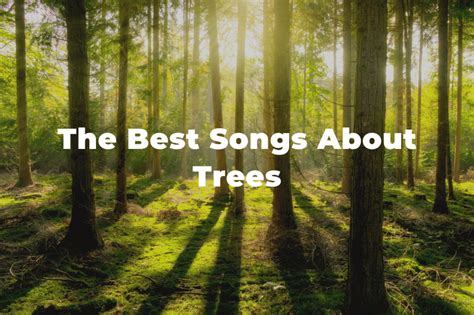 Songs On Trees