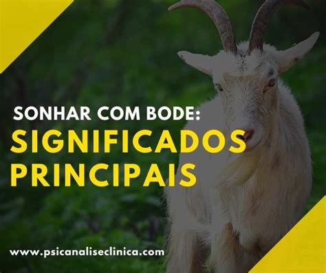 Sonhar Com Bode