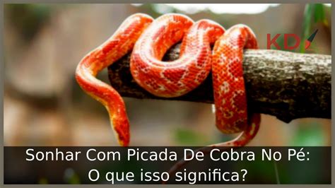 sonhar com picada de cobra