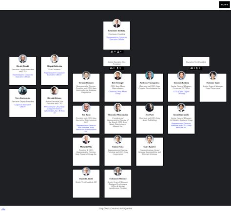 Sony Corporate Structure