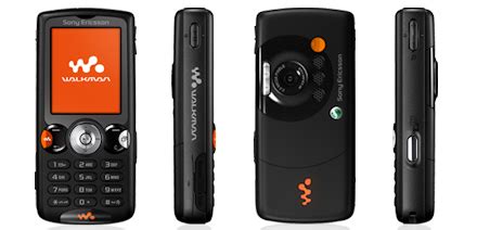 Download Sony Ericsson W810 User Guide 