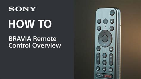 Full Download Sony Remote Control User Guide 