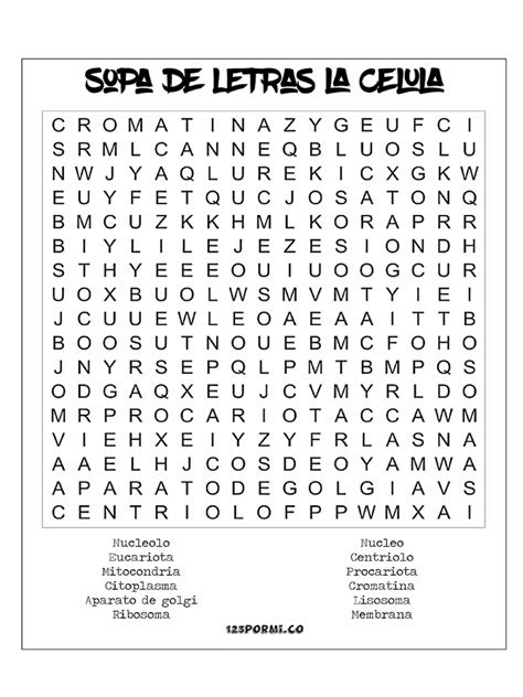 Sopa De Letras Pdf