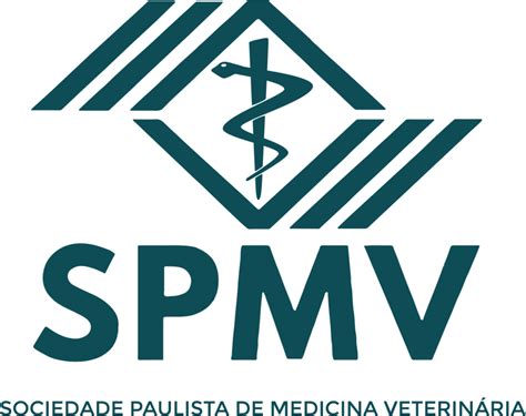 verde: Apostas Desportivas Online com Garantia de Segurança Financeira para Todos os Jogadores - Foto 2