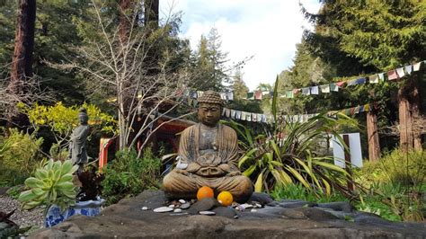soquel buddhist singles