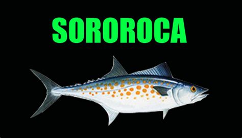 Sororoca Da Morte