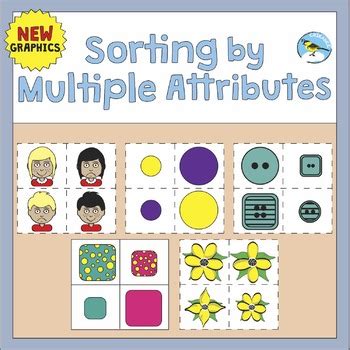 Sorting And Attributes Young Mathematicians Attribute Math - Attribute Math