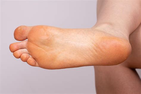 souls of your feet a tap dance guidebook for rhyth