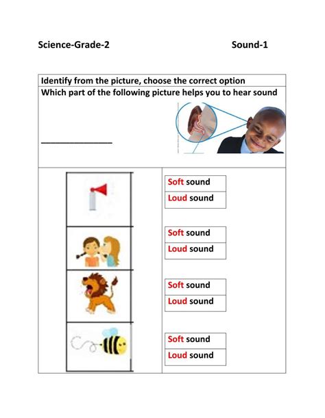 Read Online Sound Science A Z 