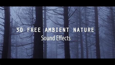 Sounds