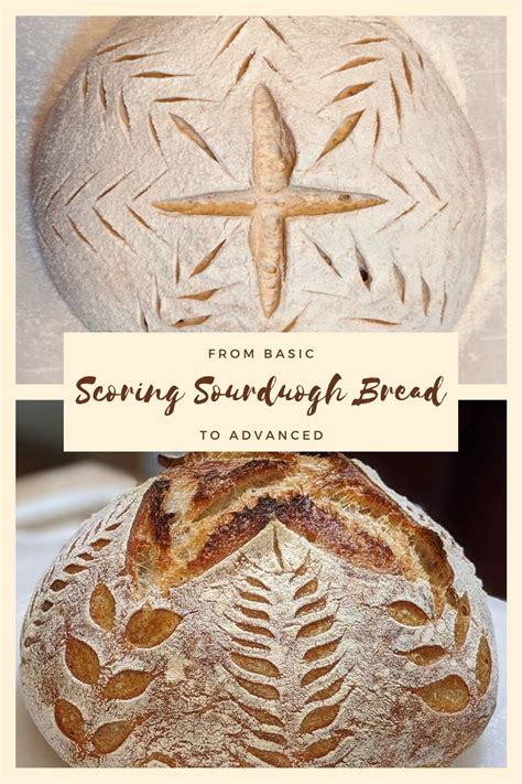 Sourdough Bread An Overview Sciencedirect Topics Sourdough Bread Science - Sourdough Bread Science