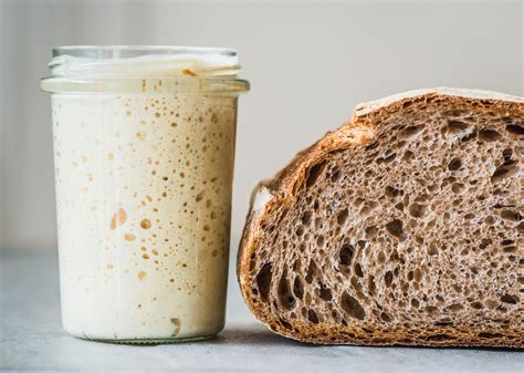 Sourdough The Science Behind A Pandemic Staple Tufts Sourdough Bread Science - Sourdough Bread Science