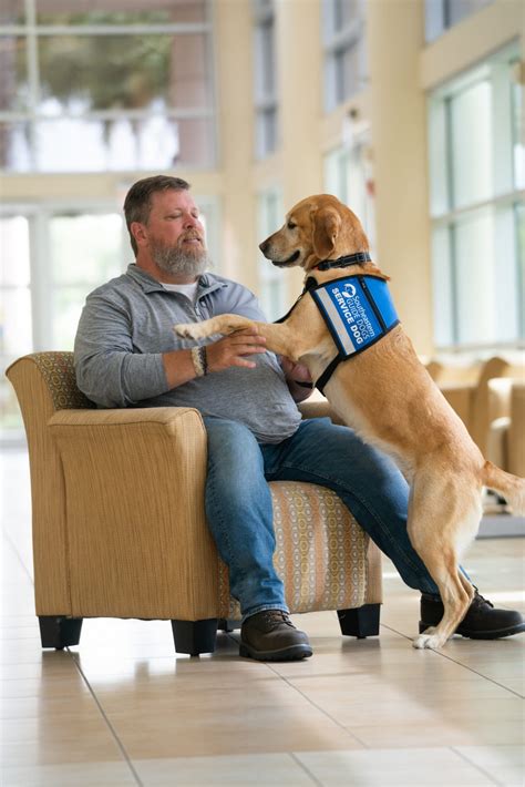Full Download Southeastern Guide Dogs Inc 