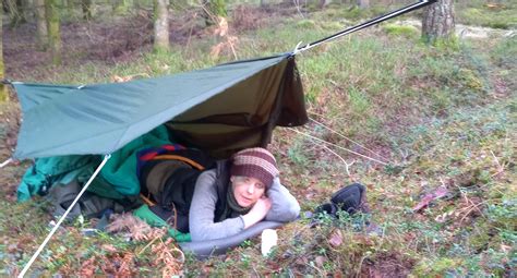 sova  inom stuga  inom skogen