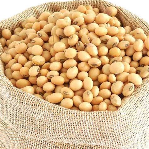Soya Beans Chompa