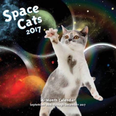 Download Space Cats 2018 16 Month Calendar Includes September 2017 Through December 2018 