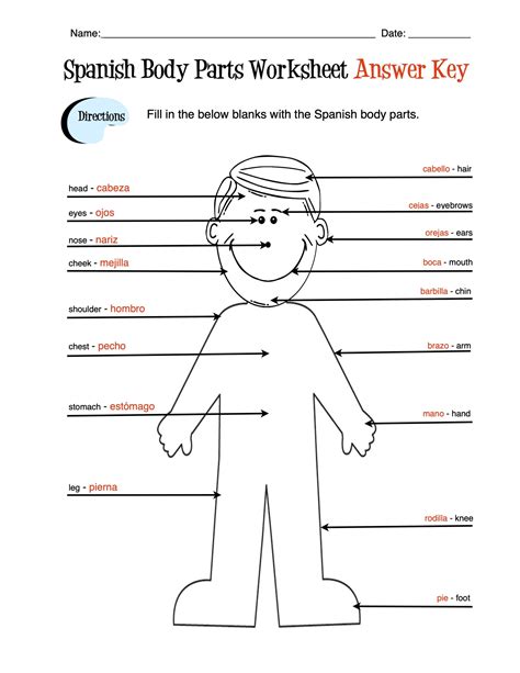 Spanish Body Parts Labelling Activity Sheet Teacher Made Labeling Body Parts Worksheet - Labeling Body Parts Worksheet