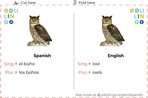 Spanish For Owl