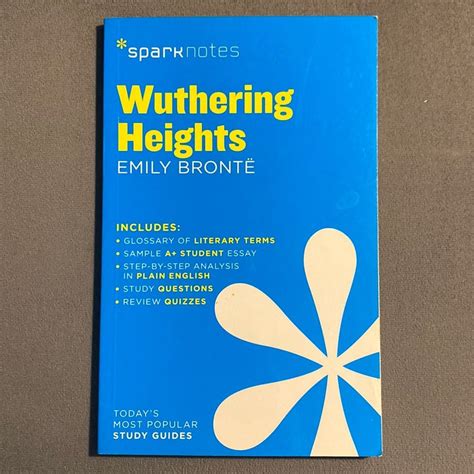 Sparknotes For How To Read Literature Like A Professor
