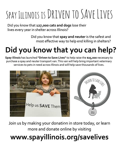 spay illinois