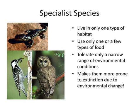 Specialist Species Examples