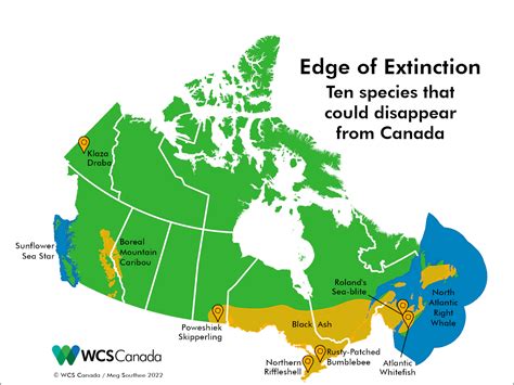 species at risk of extinction in canada