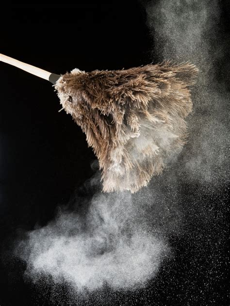 Speck Of Dust