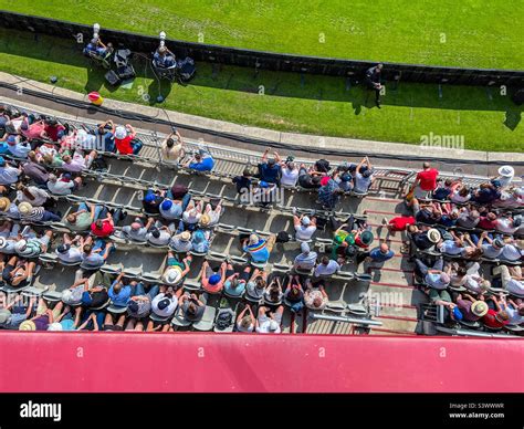 spectators