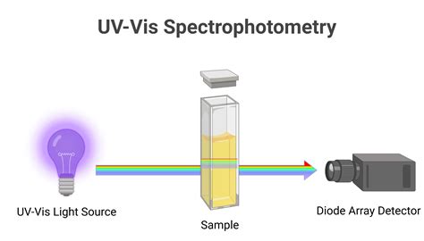 Spectrophotometry Uv Vis