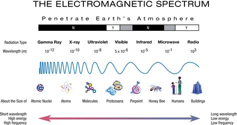 Full Download Spectrum 