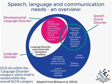 Speech Vs Language Disorder
