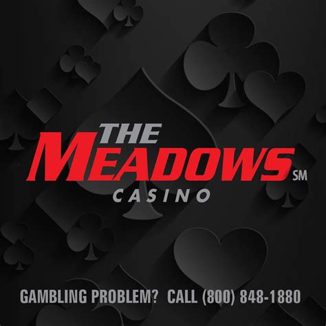 speed dating meadows casino uddd