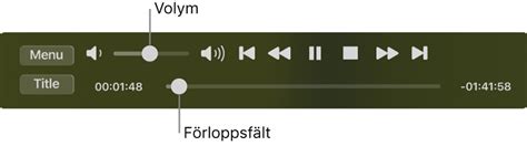 spela upp dvd datorn