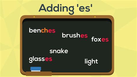 Spelling Rules Adding X27 Es X27 To Words Plural Words Ending In Es - Plural Words Ending In Es
