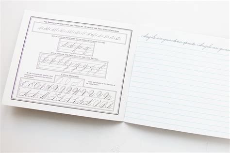 Download Spencerian Penmanship Set Theory Plus Five Copy Books 