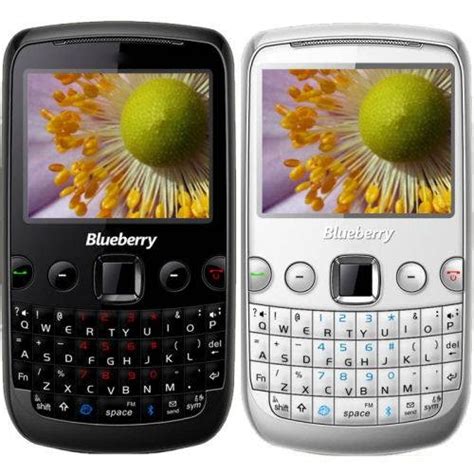Full Download Spice Blueberry Mini User Guide 