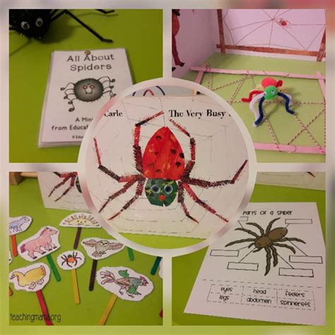 Spider Activities For Preschoolers Living Life And Learning Spider Science Activities For Preschoolers - Spider Science Activities For Preschoolers