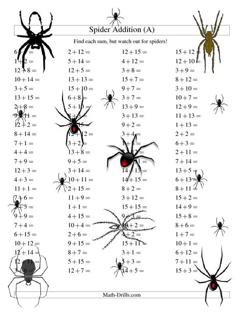 Spider Addition Facts To 30 A Spider Math Worksheet - Spider Math Worksheet