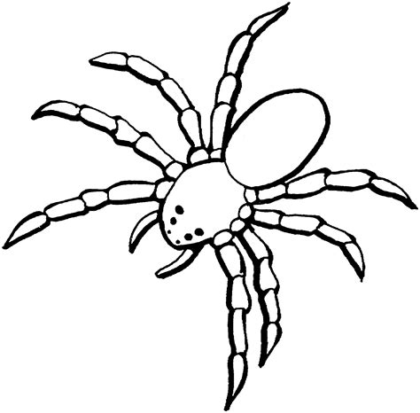 Spider Coloring Pages Coloringall Printable Picture Of A Spider - Printable Picture Of A Spider