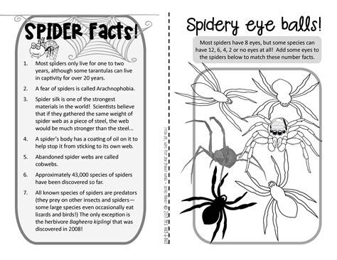 Spider Facts Worksheets Species Amp Habitat Information For Spiders Worksheet 4th Grade - Spiders Worksheet 4th Grade