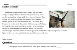 Spider Monkeys Reading Comprehension Worksheet Edhelper Spider 1st Grade Worksheet - Spider 1st Grade Worksheet