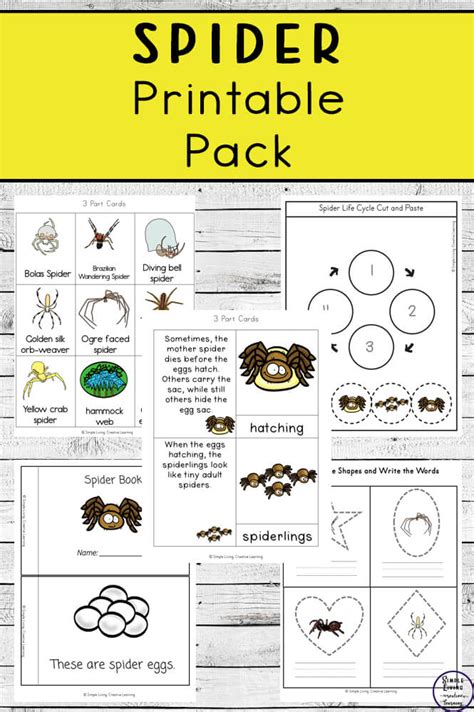 Spider Printable Pack Simple Living Creative Learning Spider Worksheet For Kindergarten - Spider Worksheet For Kindergarten