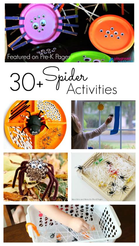 Spider Science Activities For Preschoolers   Fun Spider Activities For Kids Livinglifeandlearning Com - Spider Science Activities For Preschoolers