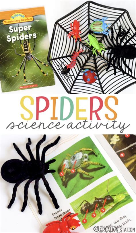 Spider Science For Little Learners Mrs Jones Creation Spider Science - Spider Science