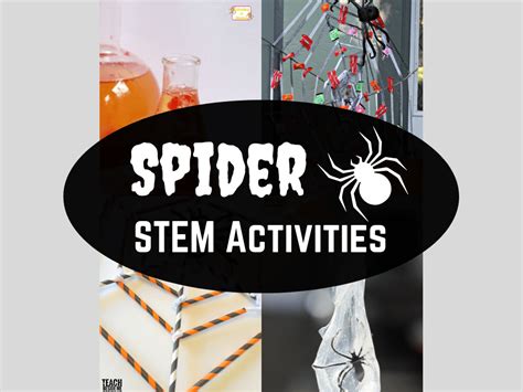 Spider Stem Activities Spider Science Activities For Preschoolers - Spider Science Activities For Preschoolers
