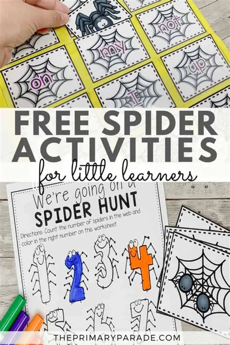 Spider Theme The Primary Parade Spider Science Activities For Preschoolers - Spider Science Activities For Preschoolers