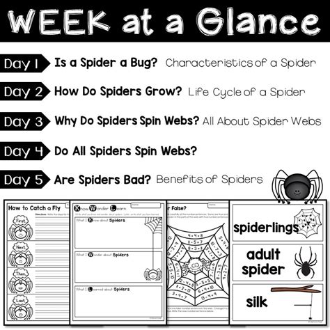Spider Unit For Kindergarten And First Grade Primary Spiders Kindergarten - Spiders Kindergarten