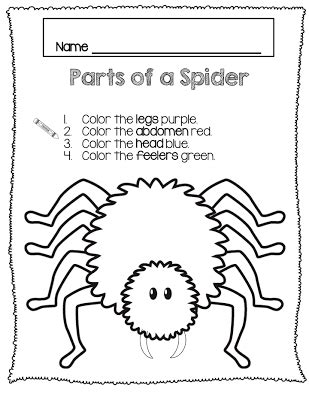 Spider Unit Kindergarten Worksheets Amp Teaching Resources Tpt Spider Worksheet For Kindergarten - Spider Worksheet For Kindergarten