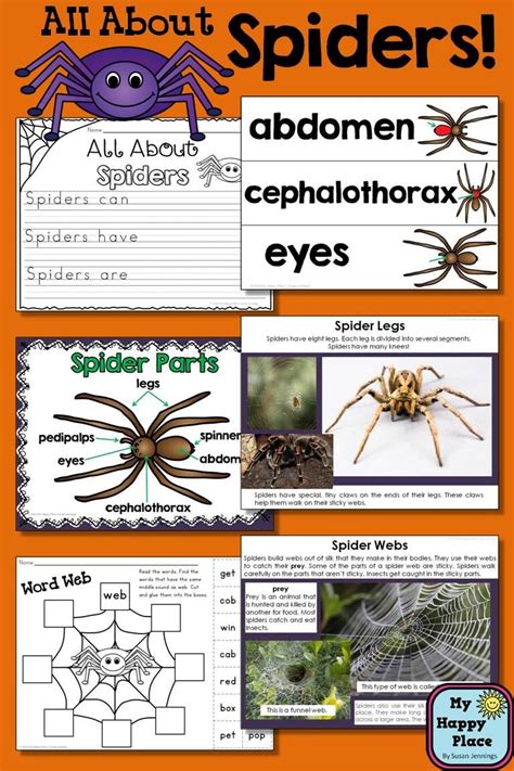 Spider Unit Study Worksheets And Printables Simple Living Spider Worksheet For Kindergarten - Spider Worksheet For Kindergarten