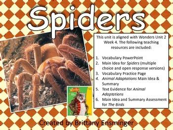 Spiders 4th Grade Mcgraw Hill Wonders By Brittany Spiders Worksheet 4th Grade - Spiders Worksheet 4th Grade